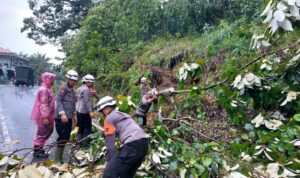 Polri bergerak cepat menindaklanjuti bencana alam longsor susulan dan banjir yang melanda Nagari Salareh Aia, Kecamatan Palembayan