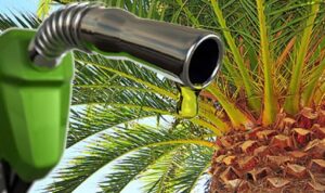 Bensin Berbahan Sawit