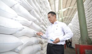 Menteri Pertanian Amran Sulaiman