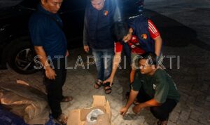 Barang bukti kejahatan perdagangan timah illegal diamankan aparat gabungan